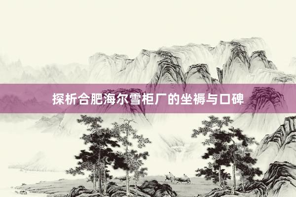 探析合肥海尔雪柜厂的坐褥与口碑