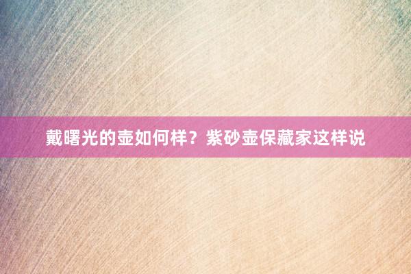戴曙光的壶如何样？紫砂壶保藏家这样说
